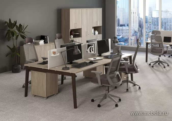 мебель Оникс Вуд