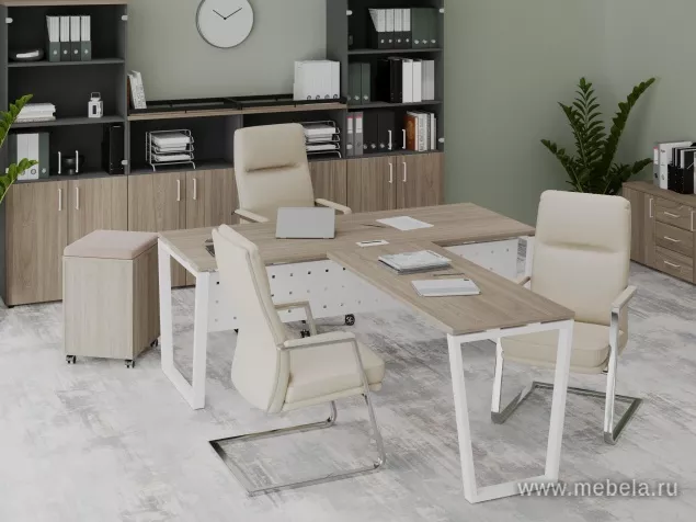 кабинет Project Elm T