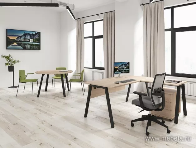 Офисная мебель Arena