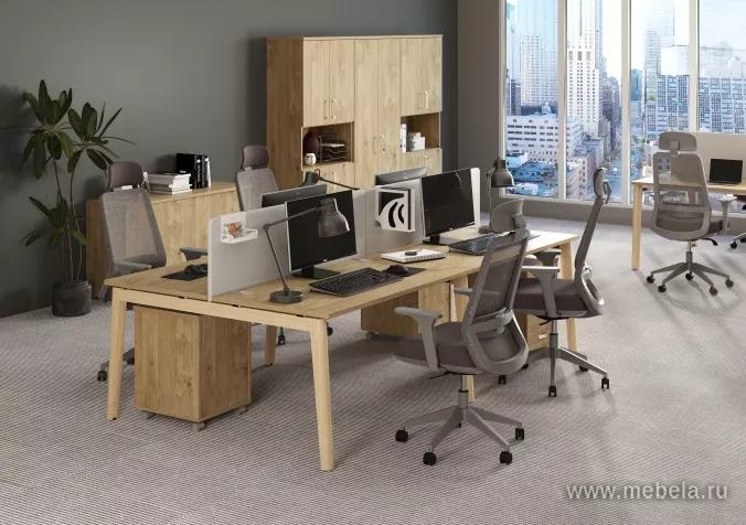 мебель Onix Wood