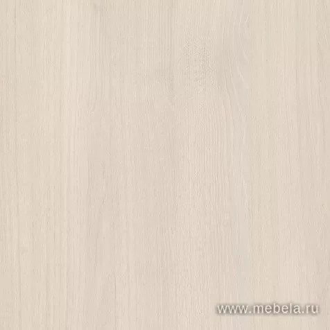 ресепшн Бонус Шамони