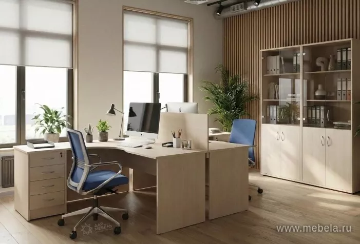 мебель Рива Клён