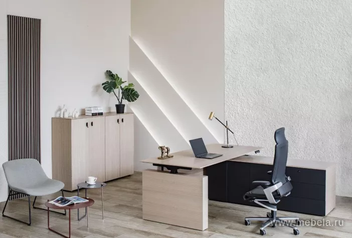 кабинет Tesla