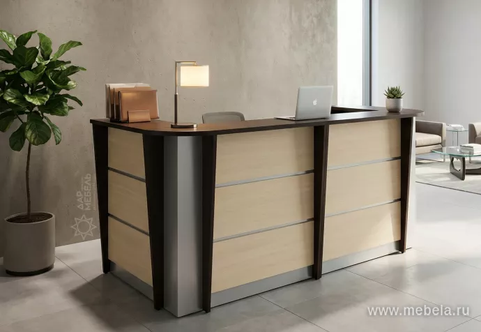 ресепшн Rapid