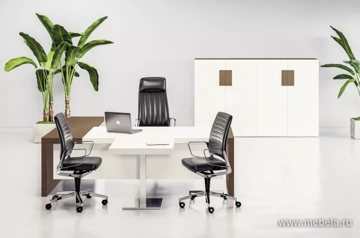 кабинет руководителя Kyo