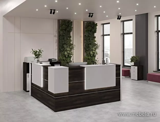 ресепшн Onix Mali