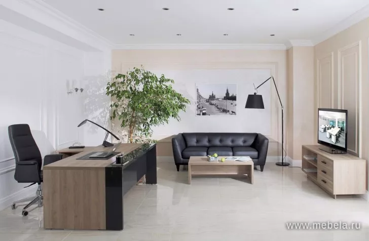 кабинет директора Lava