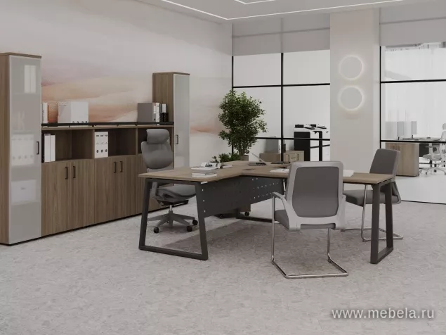 кабинет Project Elm T