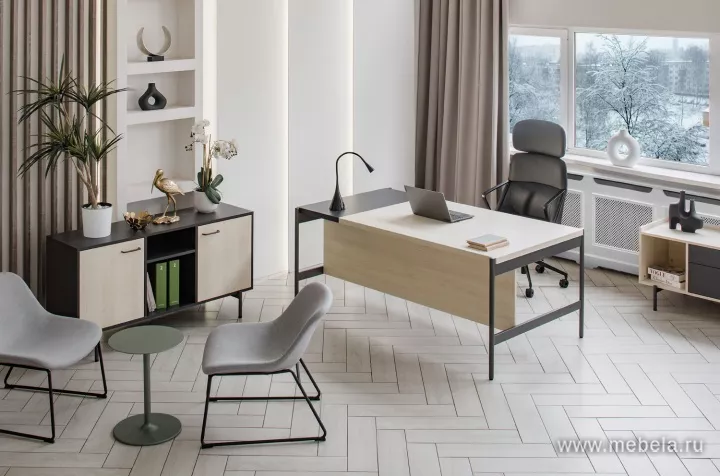 кабинет директора Ринг