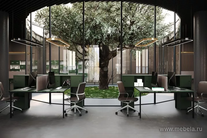 мебель Concept Kobo