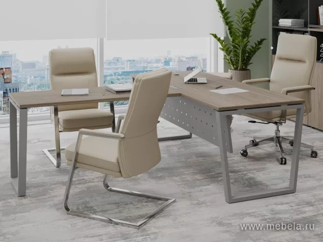 кабинет Project Elm T