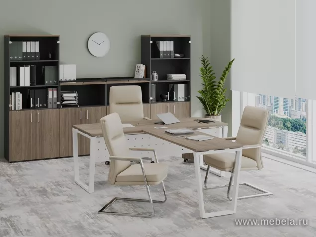 кабинет Project Elm T