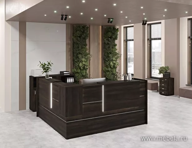 ресепшн Onix Mali