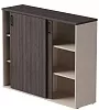 Офисный шкаф-купе средний							