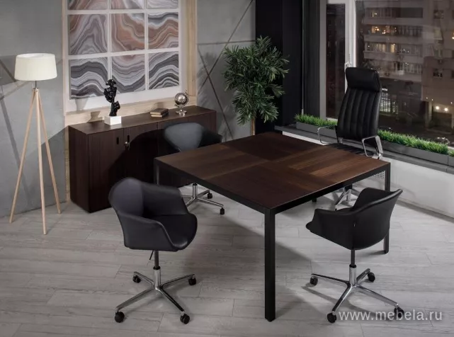 кабинет Энцо