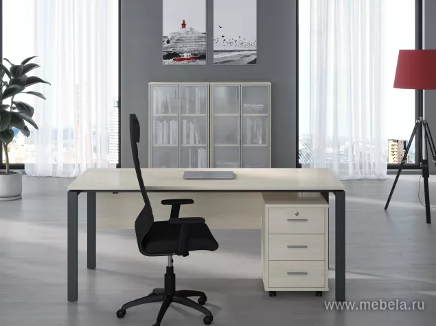 кабинет Trend Metal