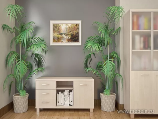 кабинет First Maple