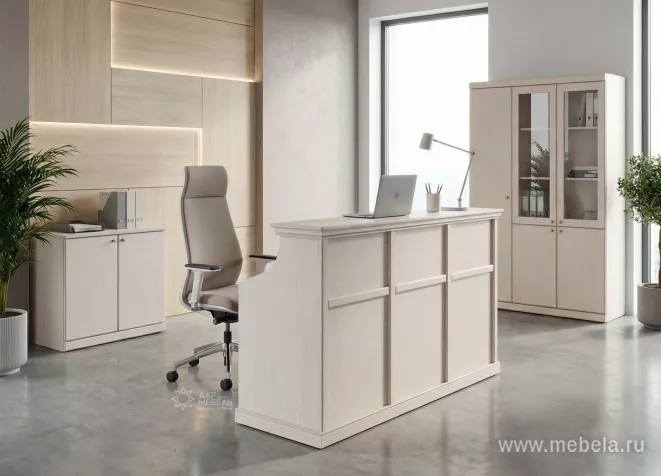 ресепшн Bern White