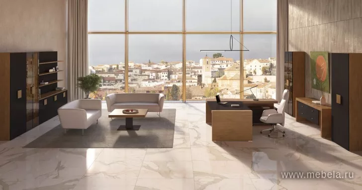 кабинет Киу Дм