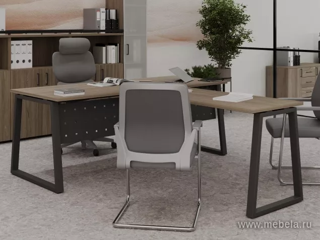 кабинет Project Elm T