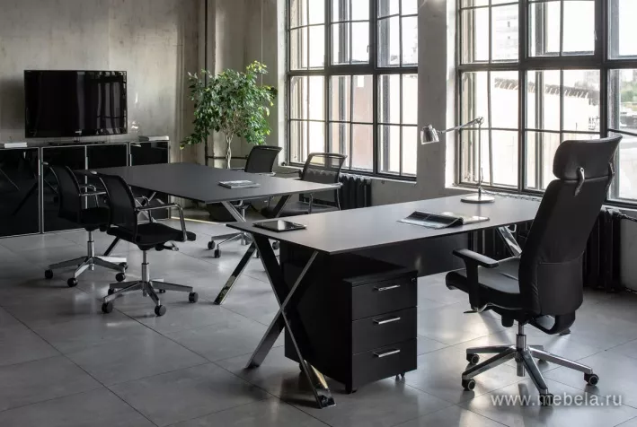 кабинет Анкона