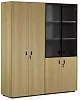 Офисный шкаф для документов комбинированный
