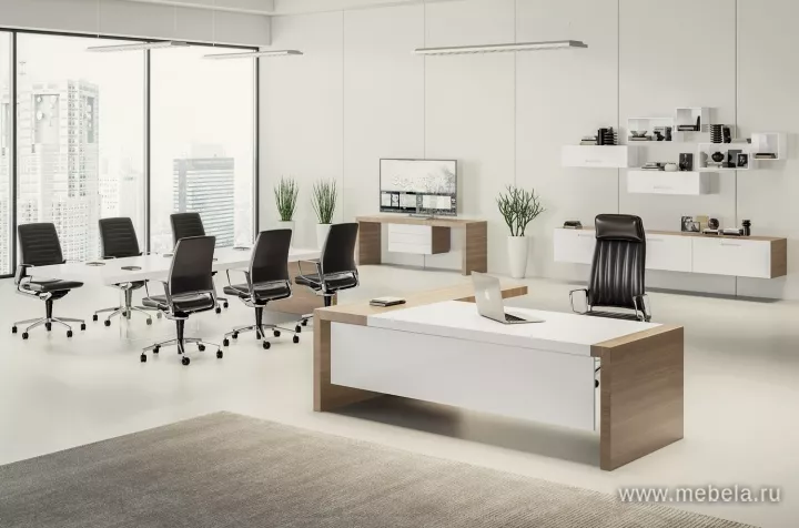 кабинет руководителя Kyo