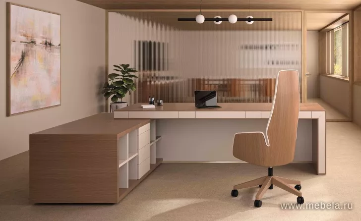 кабинет Белеса