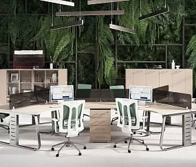 мебель Genesis