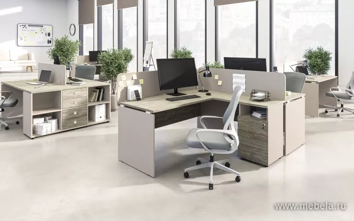 мебель для офиса Рио