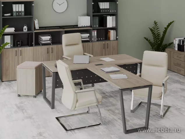 кабинет Project Elm T