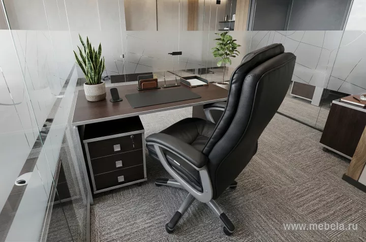 мебель Стайл Венге