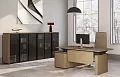 Кабинет руководителя Ион
