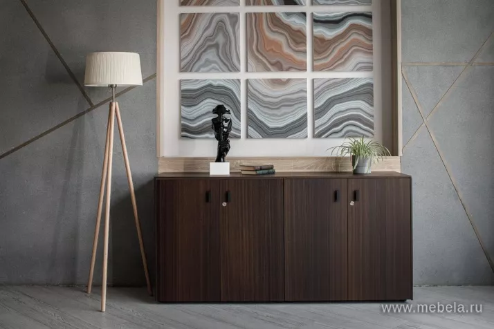 кабинет Tesla