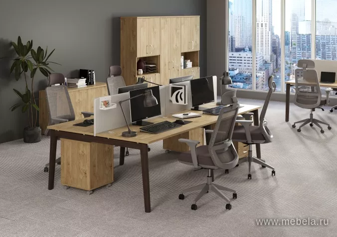 мебель Оникс Вуд