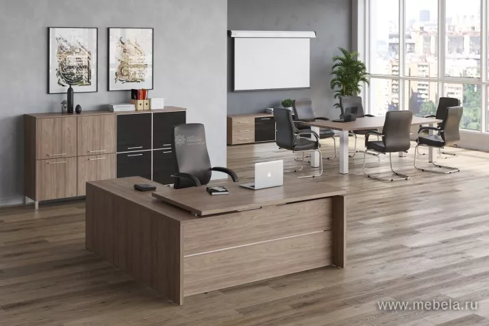 кабинет Ялта Вяз