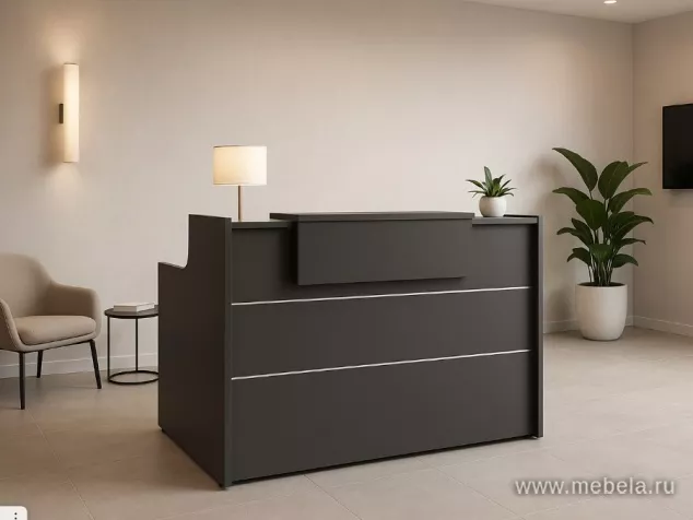 ресепшн Оникс Антрацит