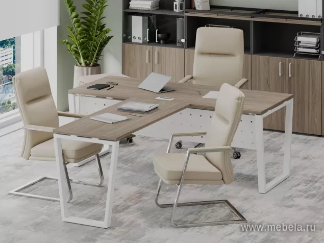 кабинет Project Elm T