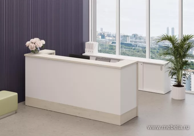 ресепшн Style Dub