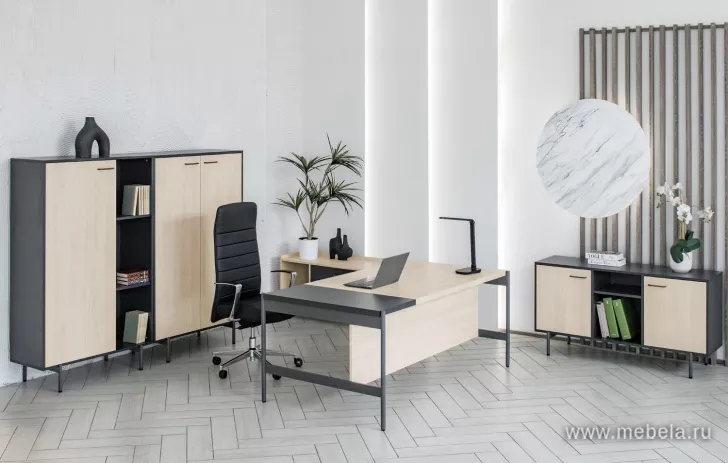 кабинет директора Ринг