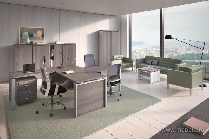 кабинет Flash LS