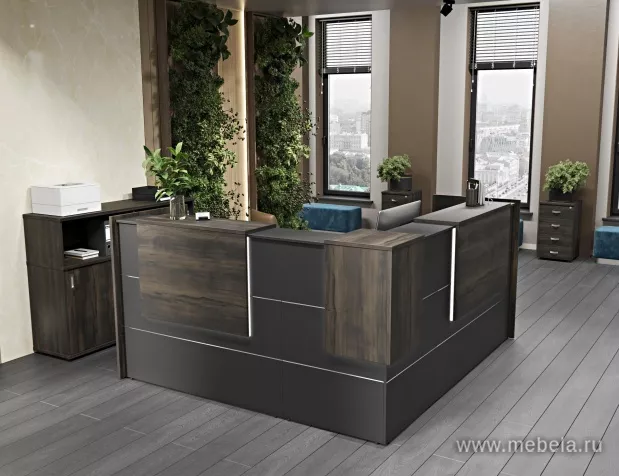 ресепшн Оникс Антрацит