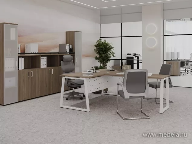 кабинет Project Elm T