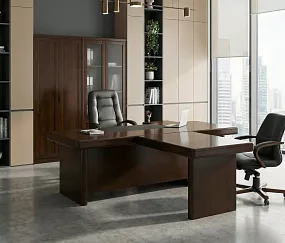 кабинет Zaragoza