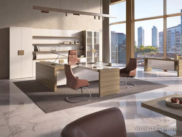 кабинет Kyu DM +