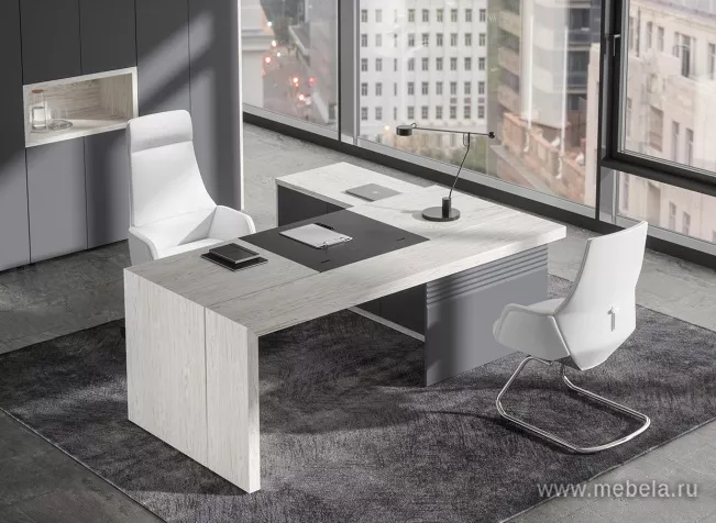 кабинет Арт.Нео II