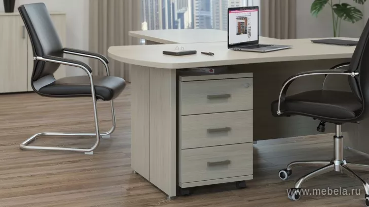 кабинет Bonn White