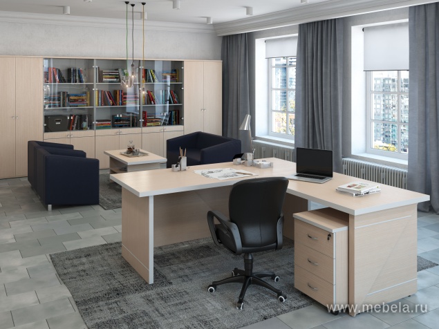 кабинет Zoom White