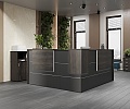 ресепшн Onix Anthracite