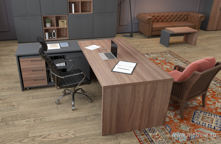 кабинет Kortez